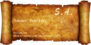 Sauer Adrián névjegykártya